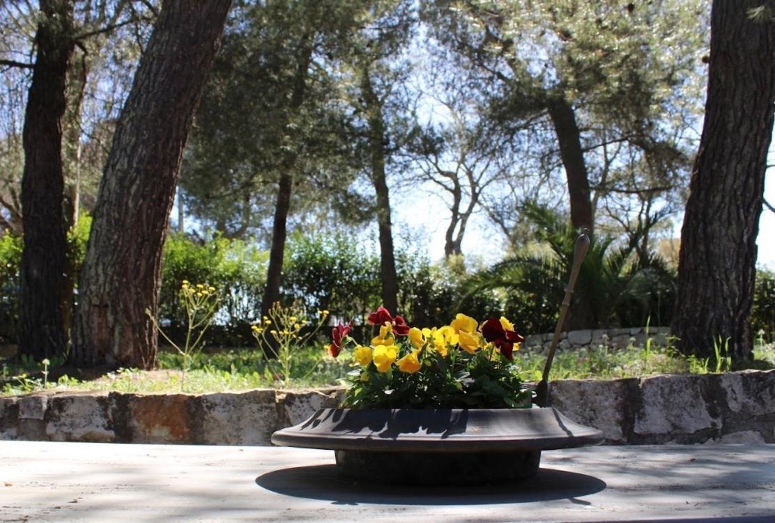 Trulli Pinnacoli โลโกโรตอนโด ภายนอก รูปภาพ